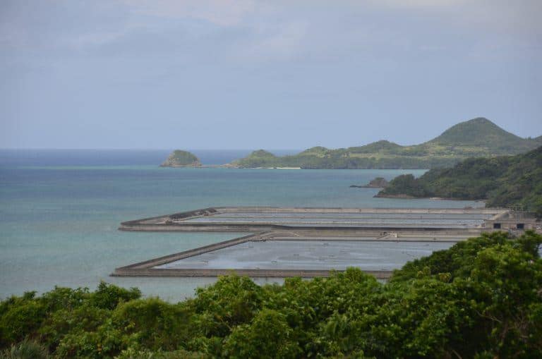 Ishigaki (74) (Isola di Ishigaki)