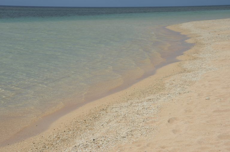 Ishigaki (80) (Isla Ishigaki)