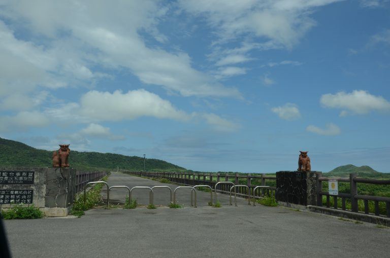 Ishigaki (81) (Isola di Ishigaki)