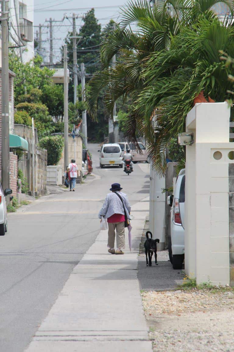 Ishigaki (87) (Isla Ishigaki)