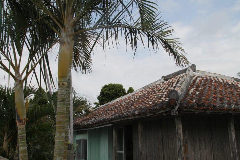 Ishigaki (88) (Isola di Ishigaki)