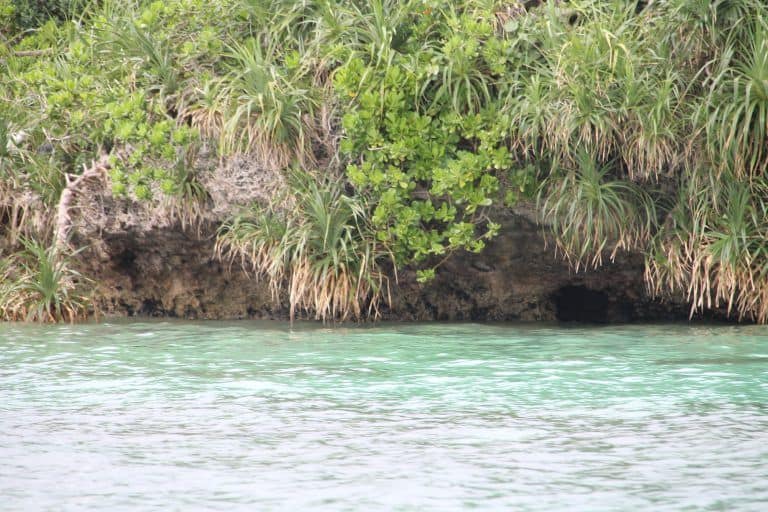 Ishigaki (9) (Isla Ishigaki)