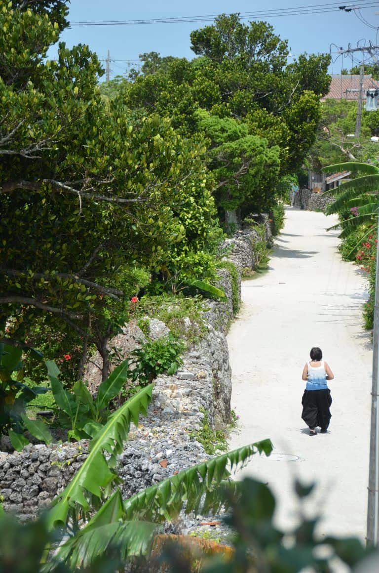Taketomi (14) (Isla Taketomi)