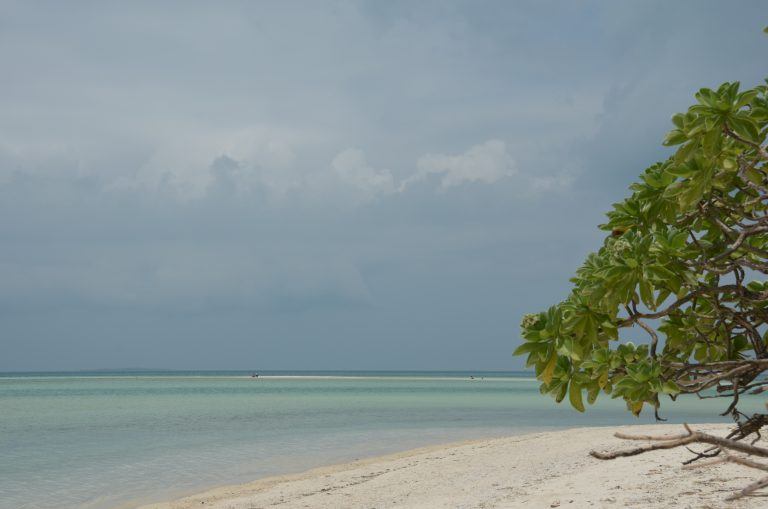 Taketomi (22) (Isla Taketomi)