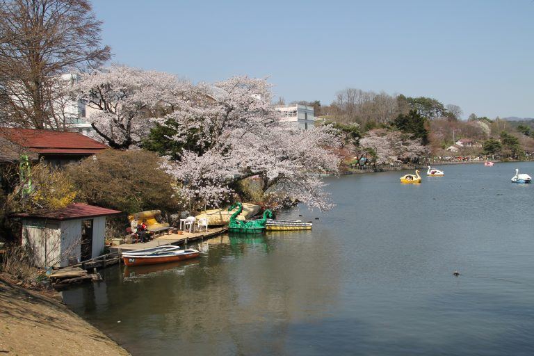 Morioka (17) (Iwate)