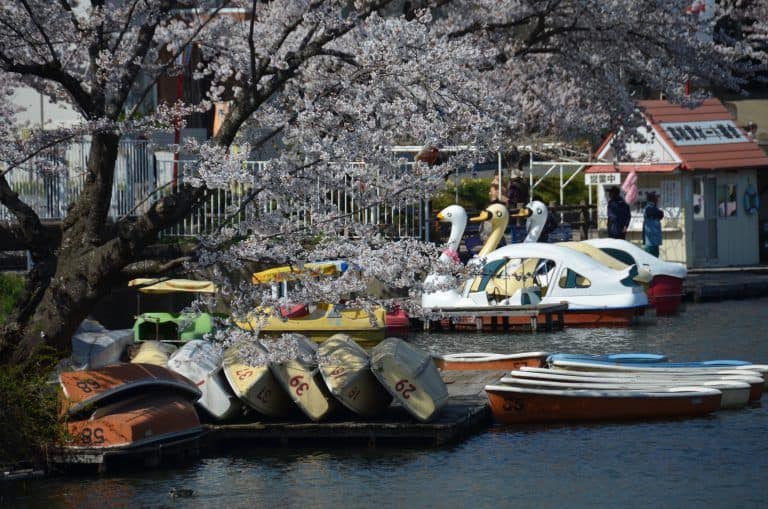 Morioka (33) (Iwate)