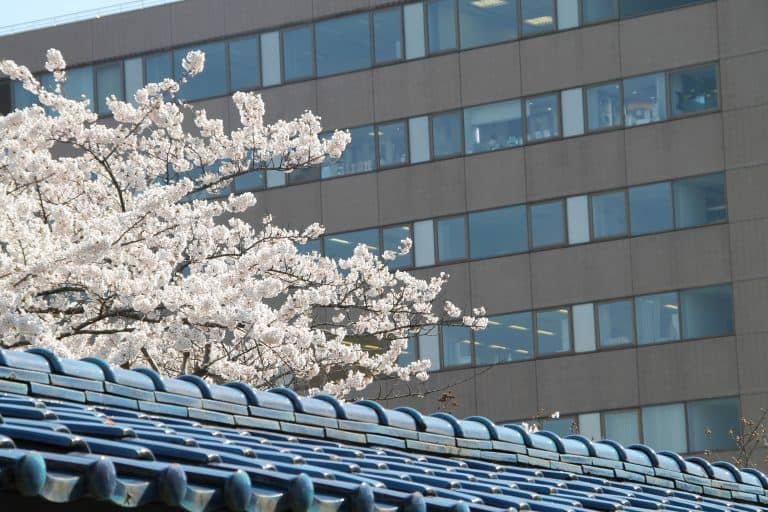 Morioka (38) (Iwate)