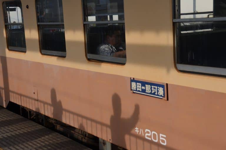 Hitachi Kaihin Park – shadows on the train, Apr.2017