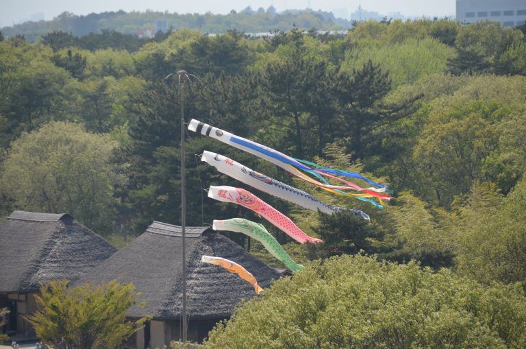 Hitachi Kaihin Park – carp streamer, Apr.2017