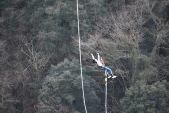 Fukuroda, the waterfall – plant, Dec.2017