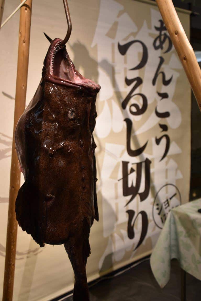 Ibaraki, cutting the monkfish show – hanging, Dec.2017 (Ibaraki)