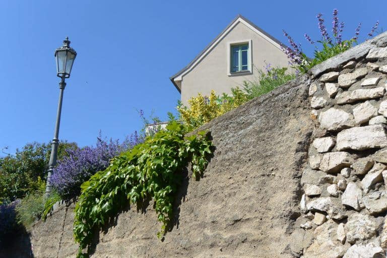 Mikulov (20) (Mikulov)