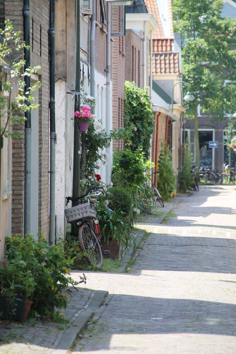 Delft (12) (Delft)