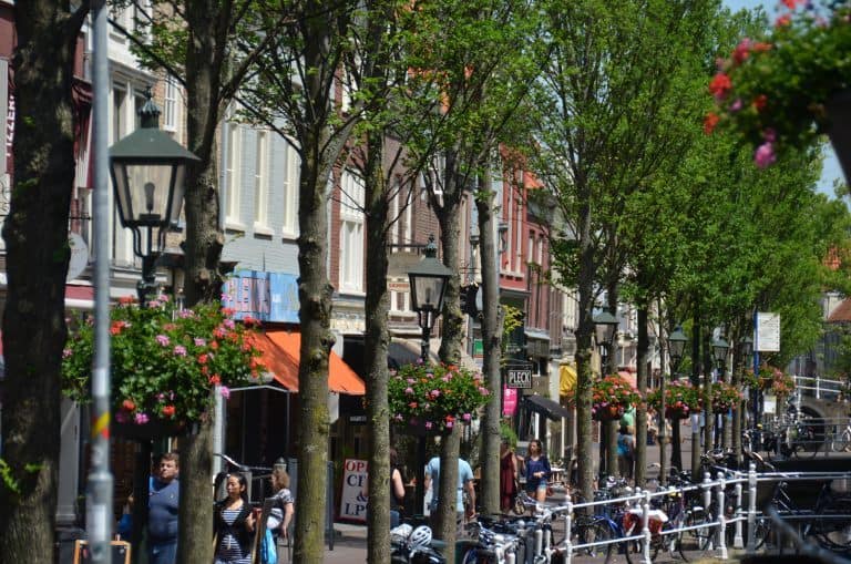 Delft (7) (Delft)