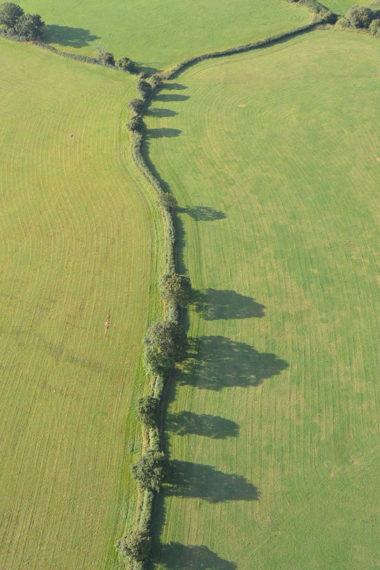 Bristol balloon flight (29) (Bristol)