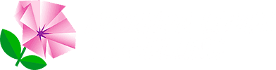 miranda-amp