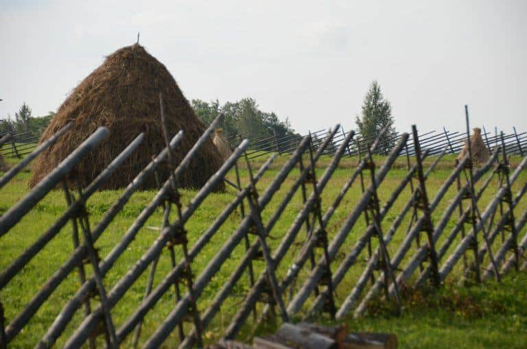 Kizhi (30) (Isola Kiži)