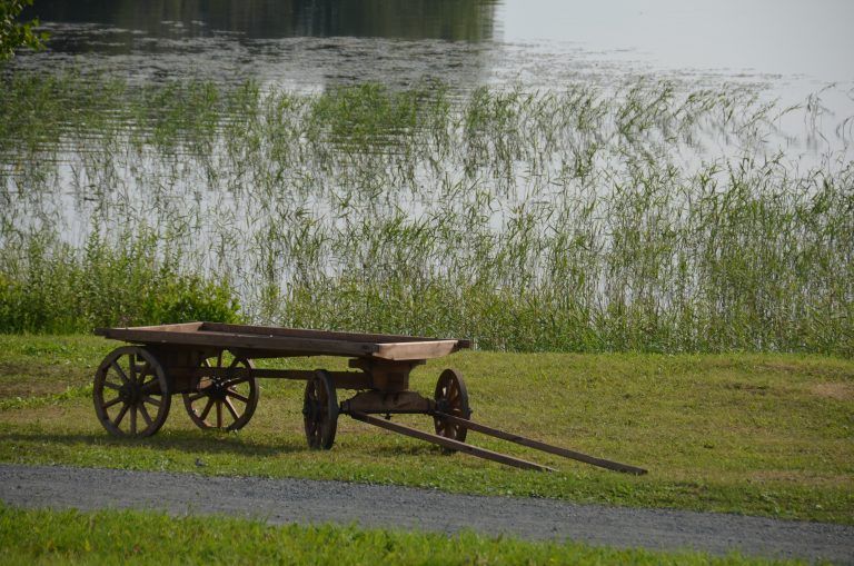 Kizhi (46) (Isola Kiži)