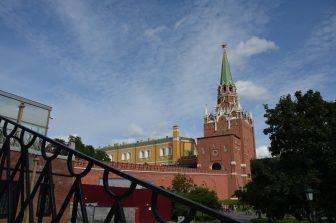 Moscow – fox and crane, Aug.2017