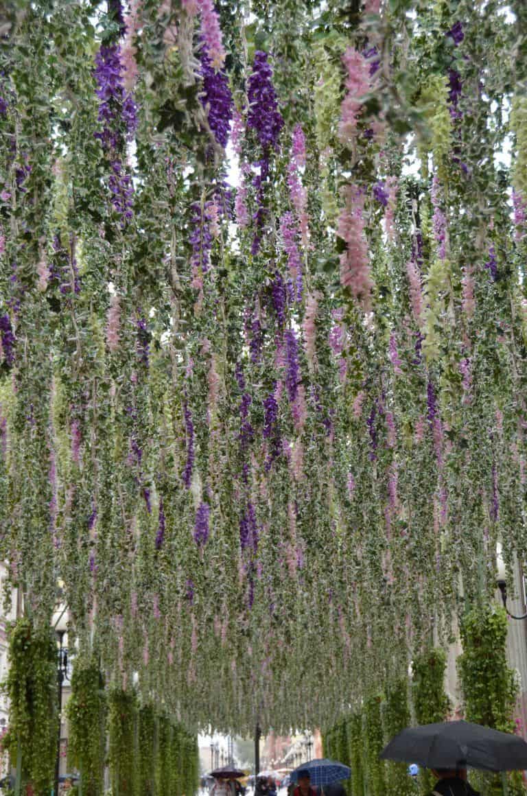 Moscow, Arbat Street – trellis, Aug.2017 (Moscow)