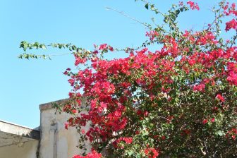 Zakynthos – colours, Sept.2017