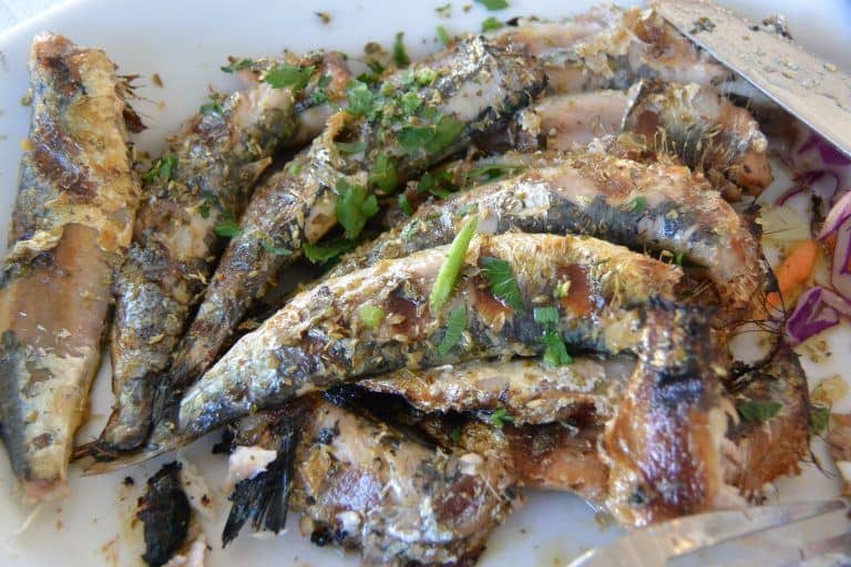 Zakynthos – sardines, Sept.2017 (Zakynthos)