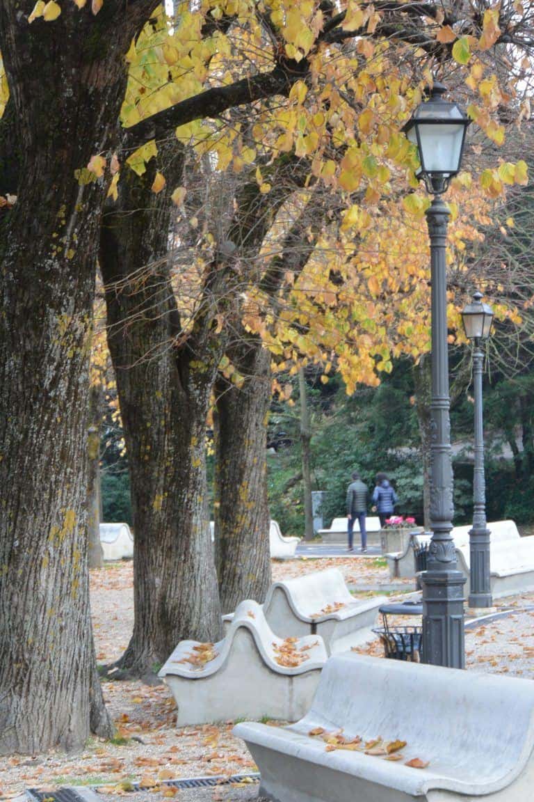 Chieti – fallen leaves, Nov.2017 (Abruzzo)