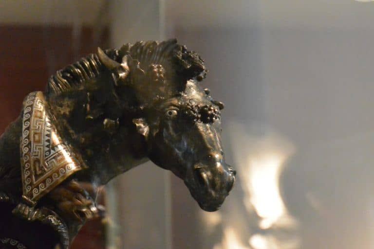 Chieti, Archaeological Museum – horse head, Nov.2017 (Abruzzo)