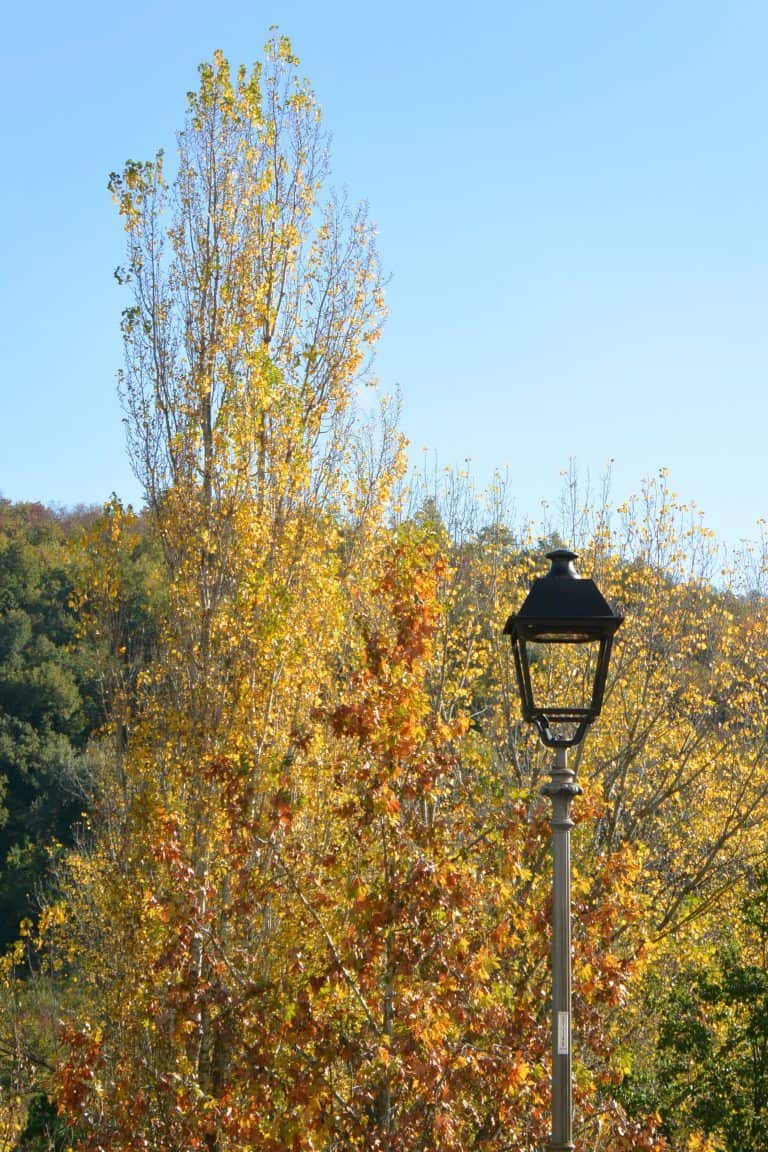 Fara Filiorum Petri – a lamp and trees, Nov.2017 (Abruzzo)