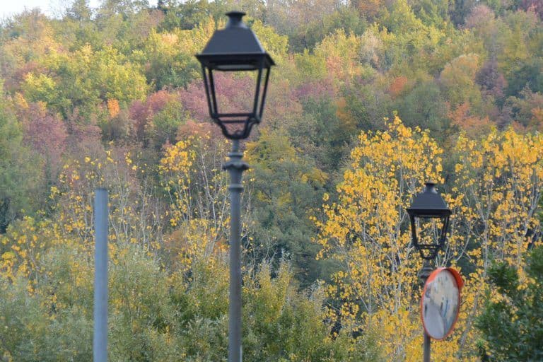 Fara Filiorum Petri – lamps in autumn, Nov.2017 (Abruzzo)