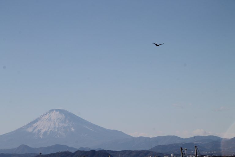 Enoshima – Mt.Fuji and a kite, Jan.2018 (Enoshima)