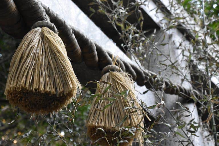 Enoshima – rope, Jan.2018 (Enoshima)