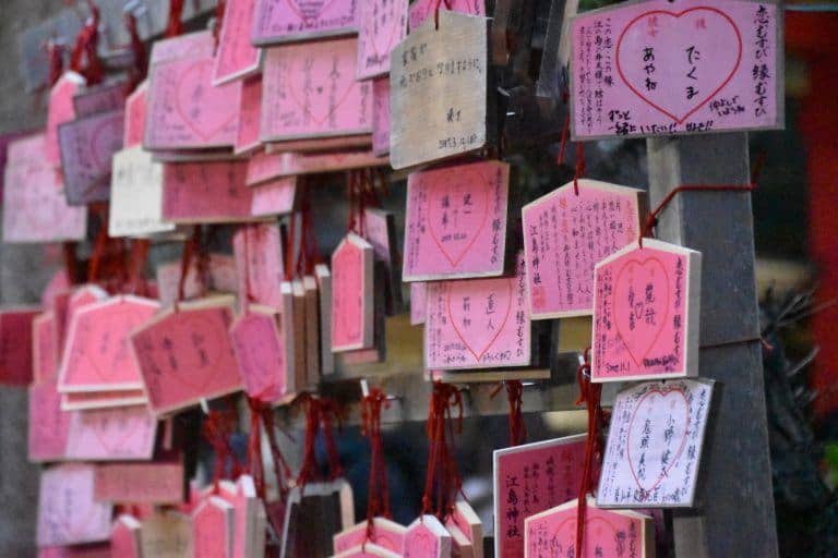 Enoshima – pink Emas, Jan.2018 (Enoshima)