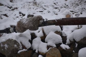 長野、地獄谷－パイプの上に 2017年12月