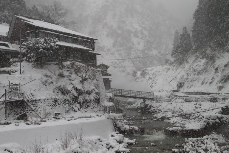 Nagano, Jigokudani – black and white world, Dec.2017 (Nagano)