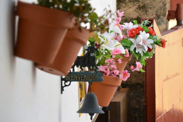 Antequera, Restaurante Plaza de Toros – flower ports, Feb.2018 (Antequera) (Andalucia)
