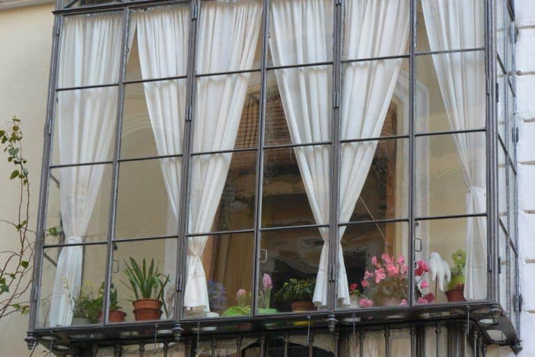 Antequera – window with curtain, Feb.2018 (Antequera) (Andalucia)