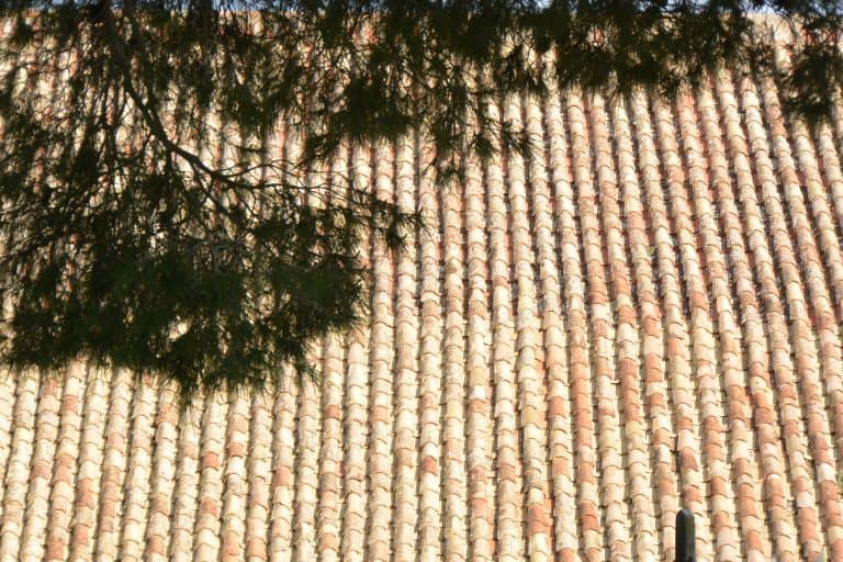 Antequera, Collegiate church of Santa Maria – roof, Feb.2018 (Antequera) (Andalucia)