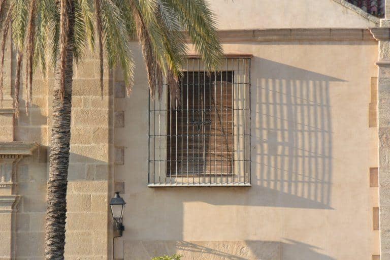 Antequera – tree, window and shadow, Feb.2018 (Antequera) (Andalucia)