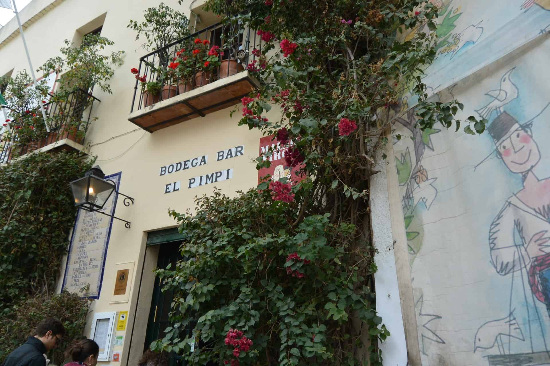 Excursión a pie por Málaga, Picasso, una flor y la bodega