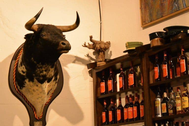 Malaga, El Pimpi – bull, Feb.2018 (Málaga) (Andalucía)