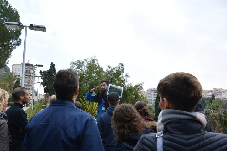 Malaga – tour, Feb.2018 (Málaga) (Andalucía)