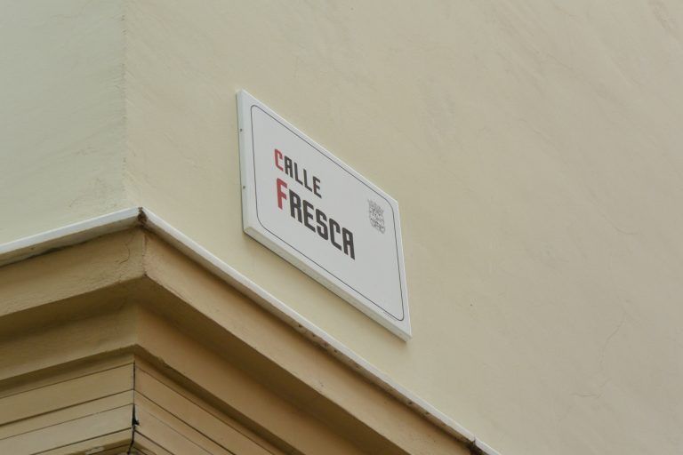 Malaga – Fresh Street, Feb.2018 (Malaga) (Andalusia)