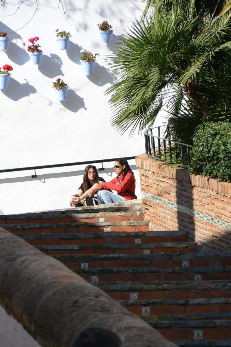 Marbella – chat, Feb.2018 (Marbella) (Andalucia)