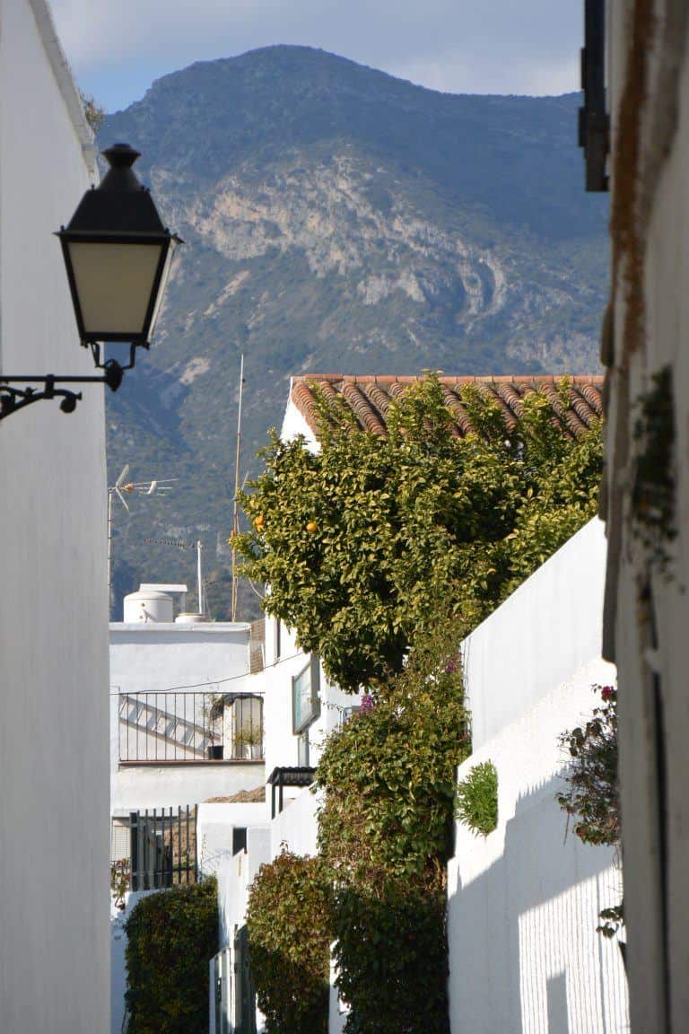 Marbella – scene with mountain, Feb.2018 (Marbella) (Andalucia)