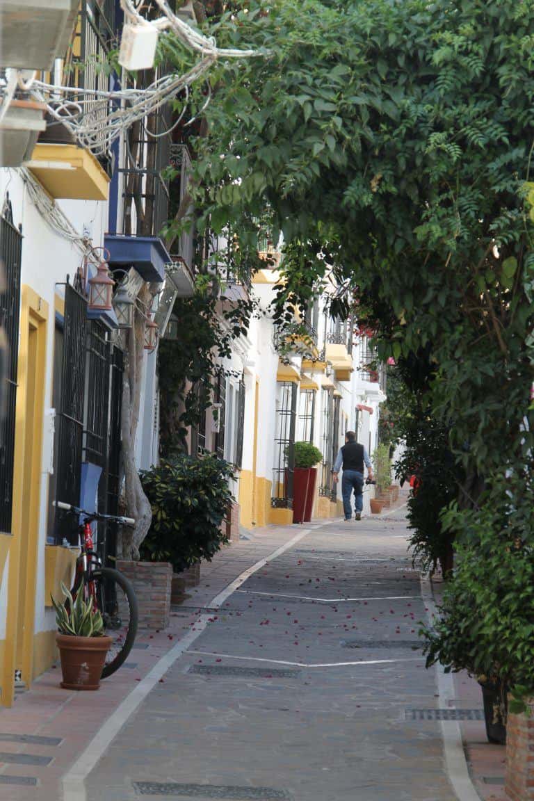 Marbella – street, Feb.2018 (Marbella) (Andalucia)