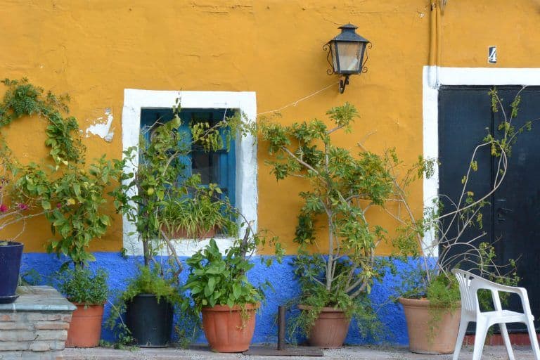 Marbella – yellow house, Feb.2018 (Marbella) (Andalucia)