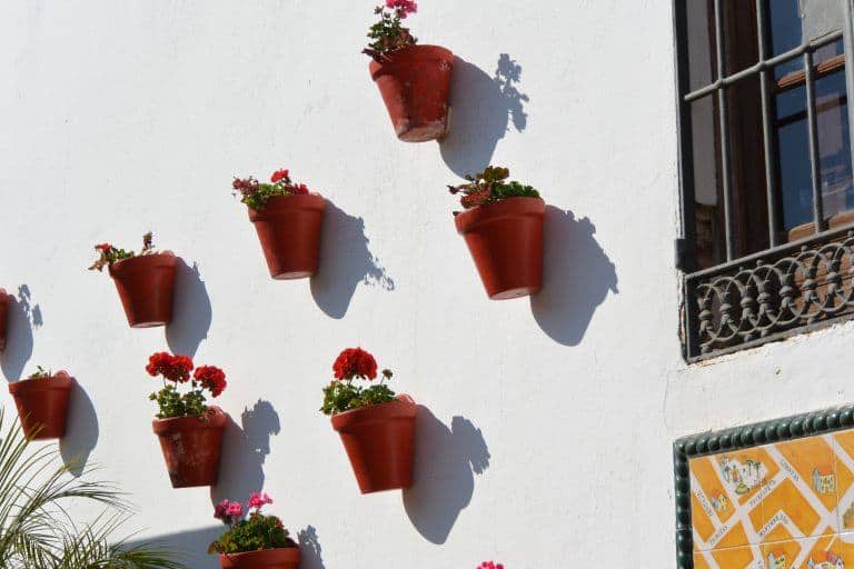Marbella – red flower pots and shadows, Feb.2018 (Marbella) (Andalucía)