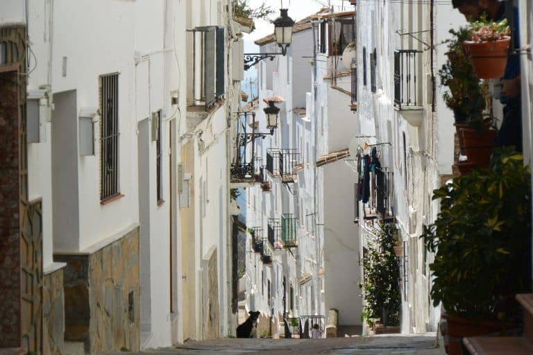 Casares – street Feb.2018 (Casares) (Andalucia)