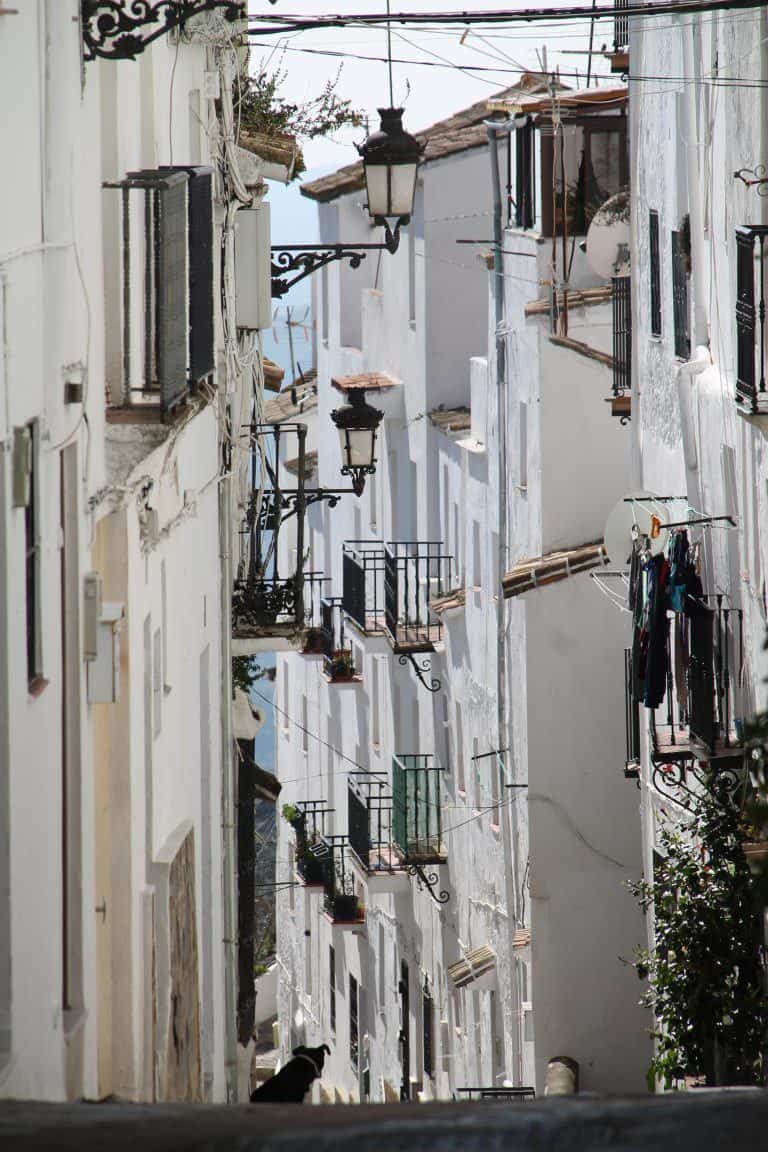 Casares – slope, Feb.2018 (Casares) (Andalucia)